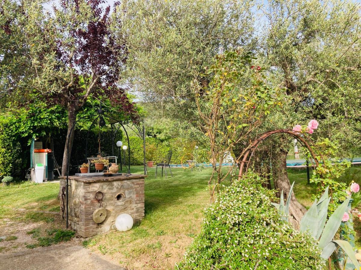 Le Coccole Del Trasimeno Guest House ตัวโร ซุล ตราซิเมโน ภายนอก รูปภาพ