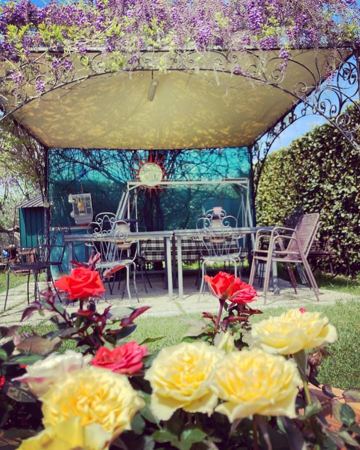 Le Coccole Del Trasimeno Guest House ตัวโร ซุล ตราซิเมโน ภายนอก รูปภาพ