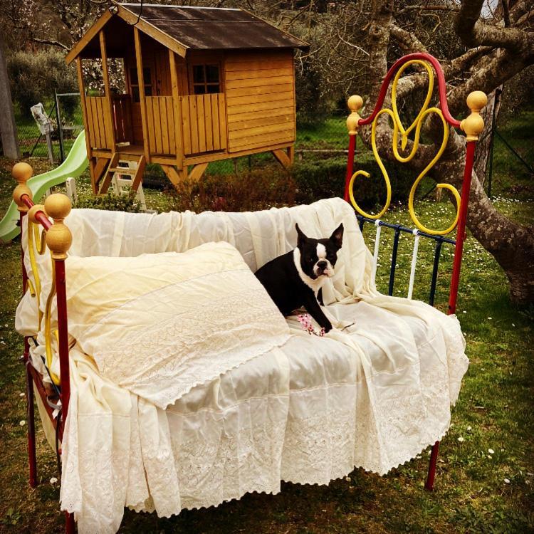 Le Coccole Del Trasimeno Guest House ตัวโร ซุล ตราซิเมโน ภายนอก รูปภาพ