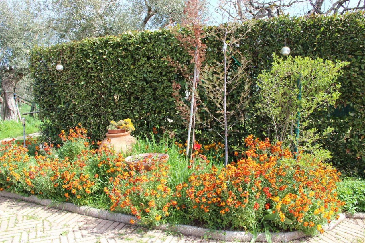 Le Coccole Del Trasimeno Guest House ตัวโร ซุล ตราซิเมโน ภายนอก รูปภาพ