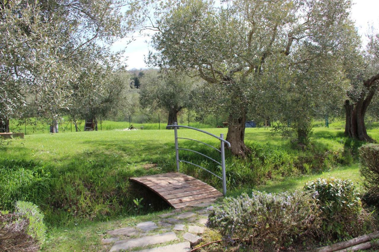 Le Coccole Del Trasimeno Guest House ตัวโร ซุล ตราซิเมโน ภายนอก รูปภาพ
