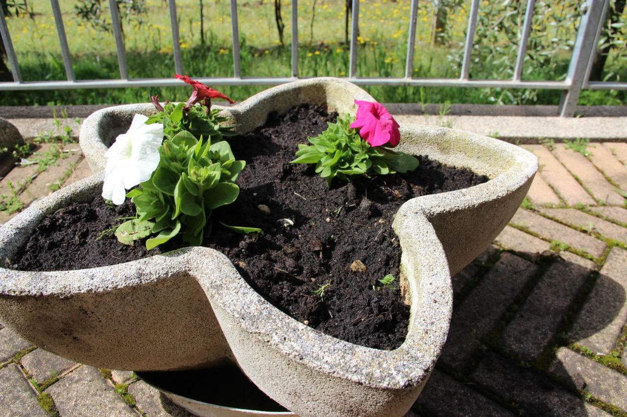 Le Coccole Del Trasimeno Guest House ตัวโร ซุล ตราซิเมโน ภายนอก รูปภาพ