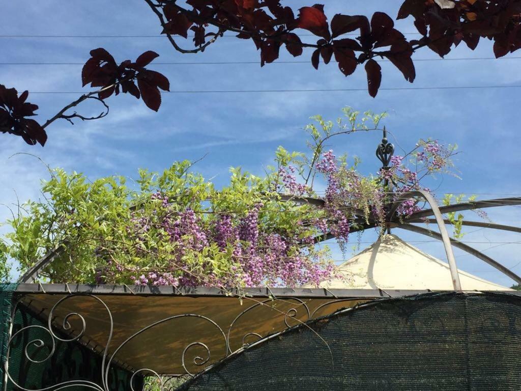 Le Coccole Del Trasimeno Guest House ตัวโร ซุล ตราซิเมโน ภายนอก รูปภาพ