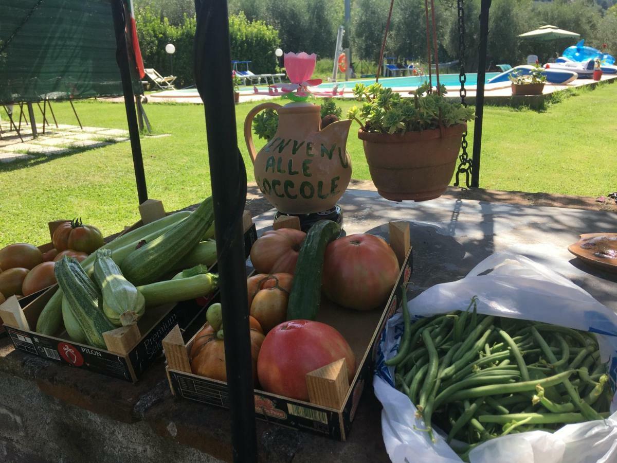 Le Coccole Del Trasimeno Guest House ตัวโร ซุล ตราซิเมโน ภายนอก รูปภาพ