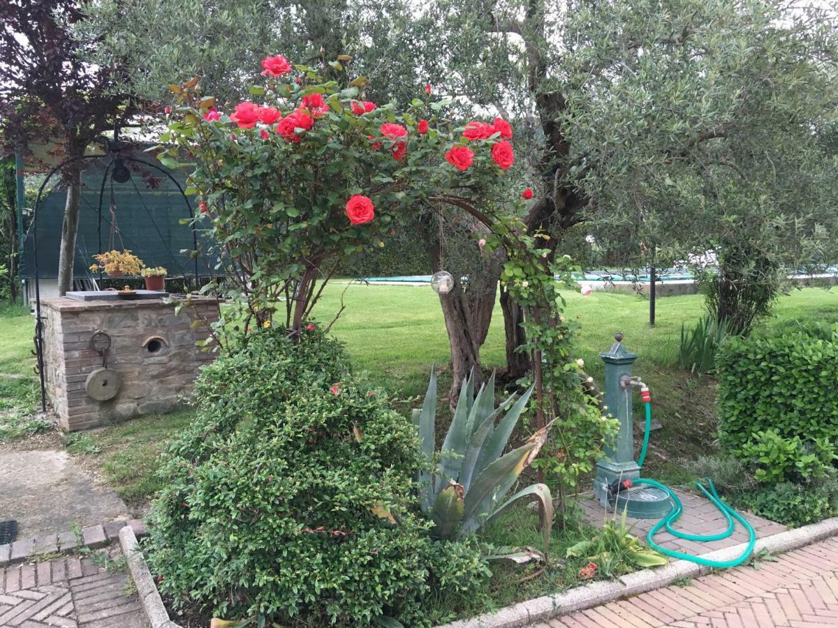 Le Coccole Del Trasimeno Guest House ตัวโร ซุล ตราซิเมโน ภายนอก รูปภาพ