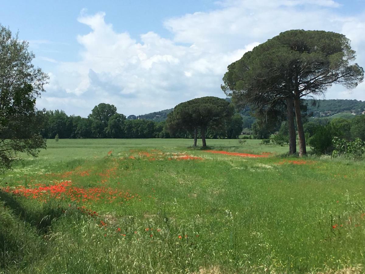 Le Coccole Del Trasimeno Guest House ตัวโร ซุล ตราซิเมโน ภายนอก รูปภาพ