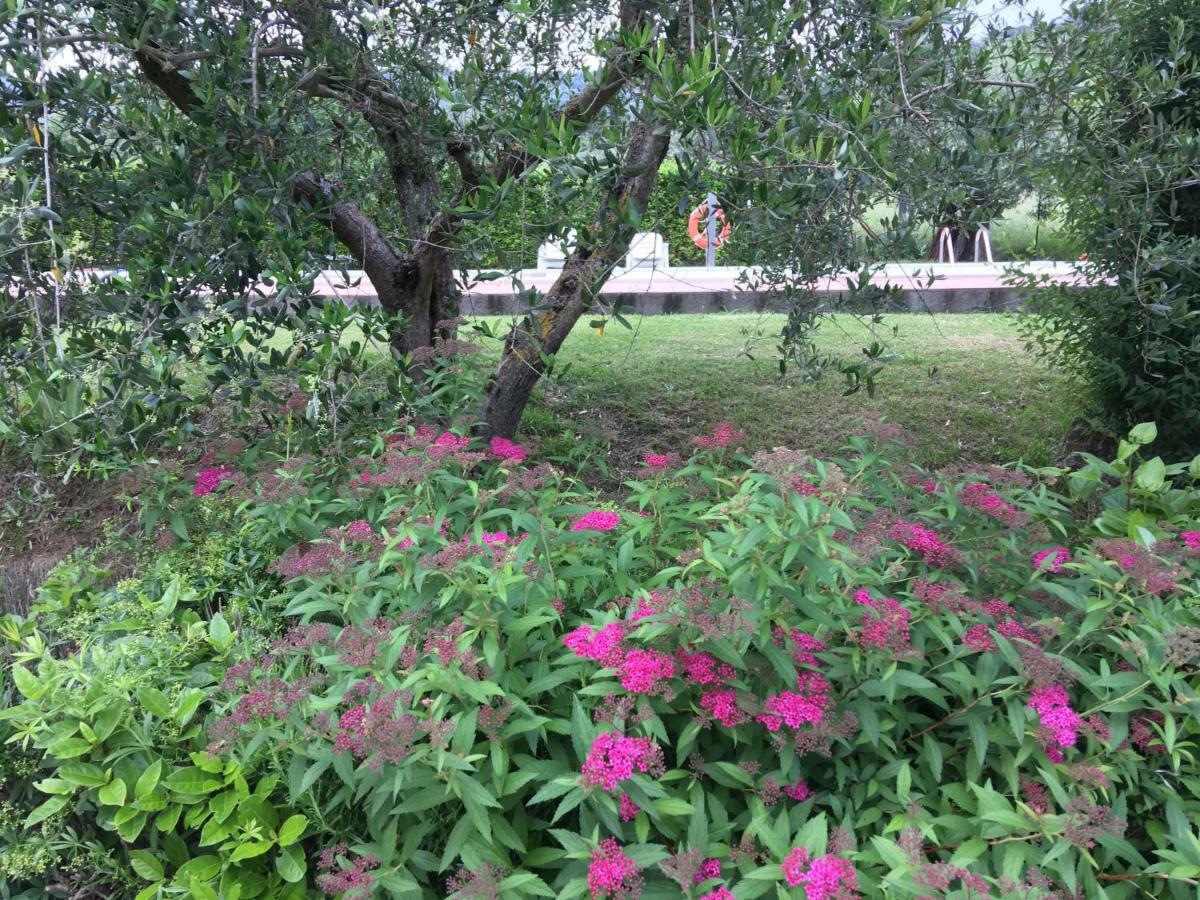 Le Coccole Del Trasimeno Guest House ตัวโร ซุล ตราซิเมโน ภายนอก รูปภาพ